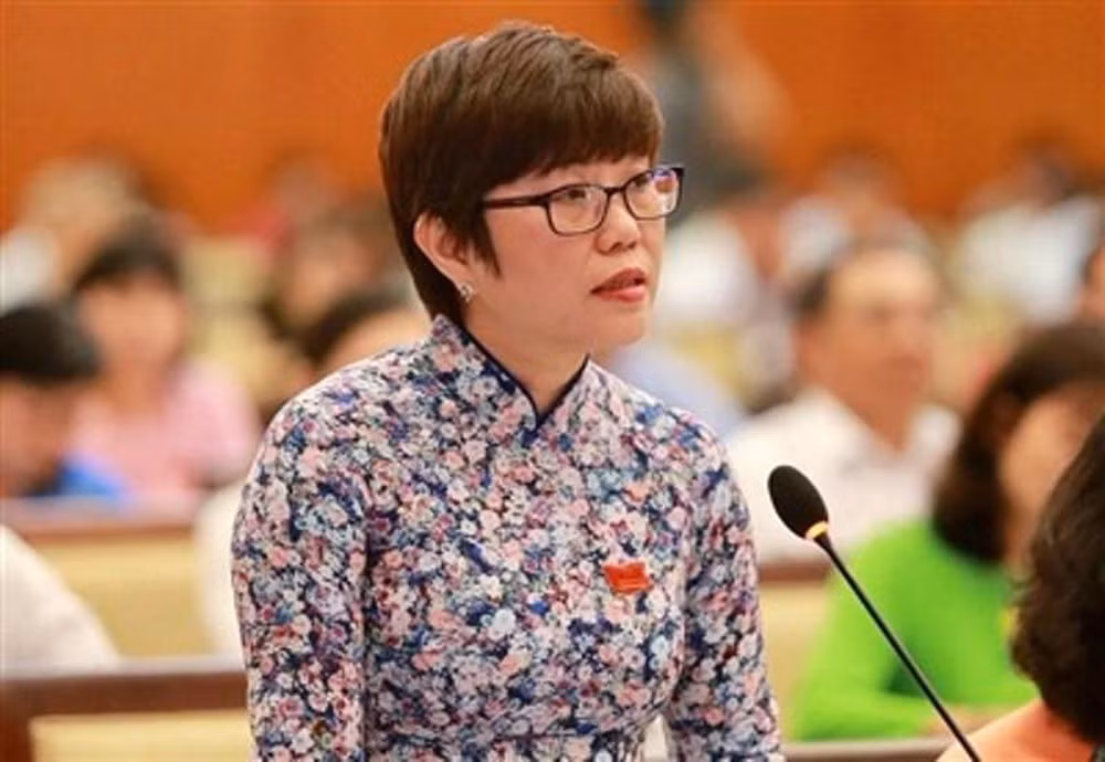 Bà Nguyễn Thị Quyết Tâm: ‘Tiếp xúc cử tri lần này đau lòng lắm!’ ảnh 3