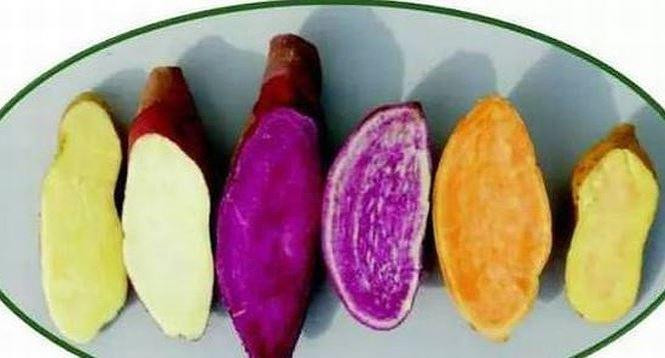 Những loại rau củ nhiều vitamin C 'gấp tỷ lần' cam chanh, tăng sức chống dịch ảnh 5