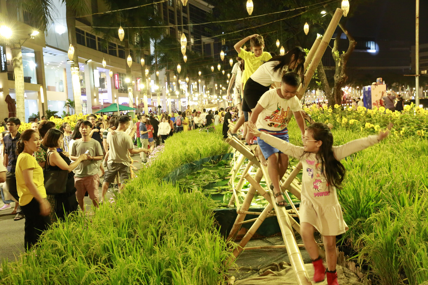 Khai mạc Hội hoa xuân Phú Mỹ Hưng ảnh 3