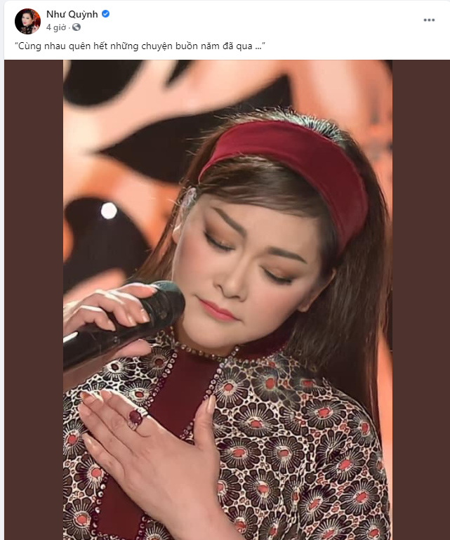 Đinh Mạnh Ninh kiệt sức nhập viện nhưng vẫn đi diễn giao thừa chung vui với khán giả ảnh 7