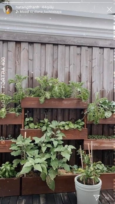 Dân mạng ngất ngây ngắm kênh đồ ăn 'thượng hạng' của Tăng Thanh Hà ảnh 8