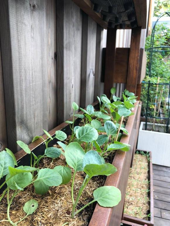 Dân mạng ngất ngây ngắm kênh đồ ăn 'thượng hạng' của Tăng Thanh Hà ảnh 9