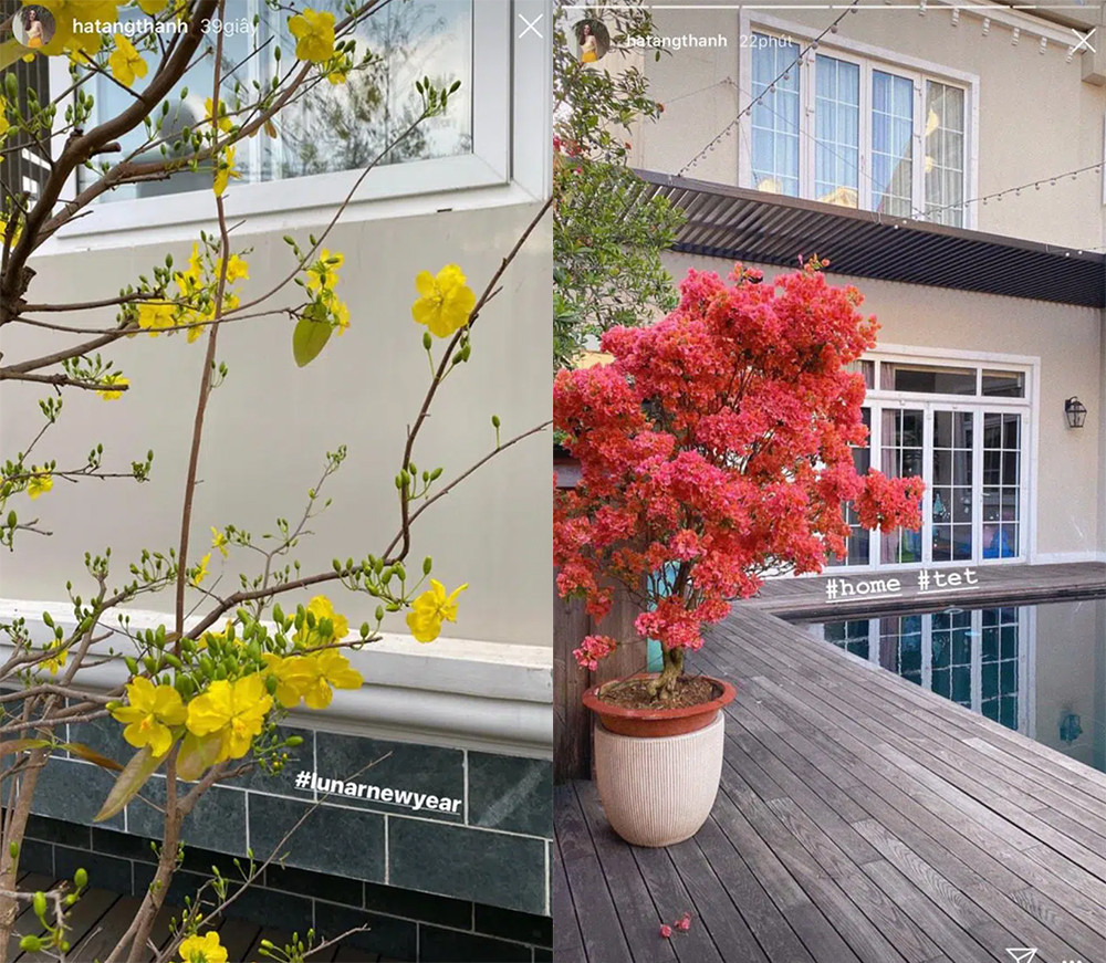 SAO VIỆT 29 TẾT: Nam Thư trào nước mắt: '10 năm rồi không về ăn Tết' ảnh 4