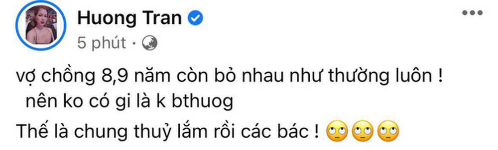 Vợ cũ Việt Anh nói lời ẩn ý: 'Vợ chồng 8-9 năm còn bỏ nhau như thường...' ảnh 1