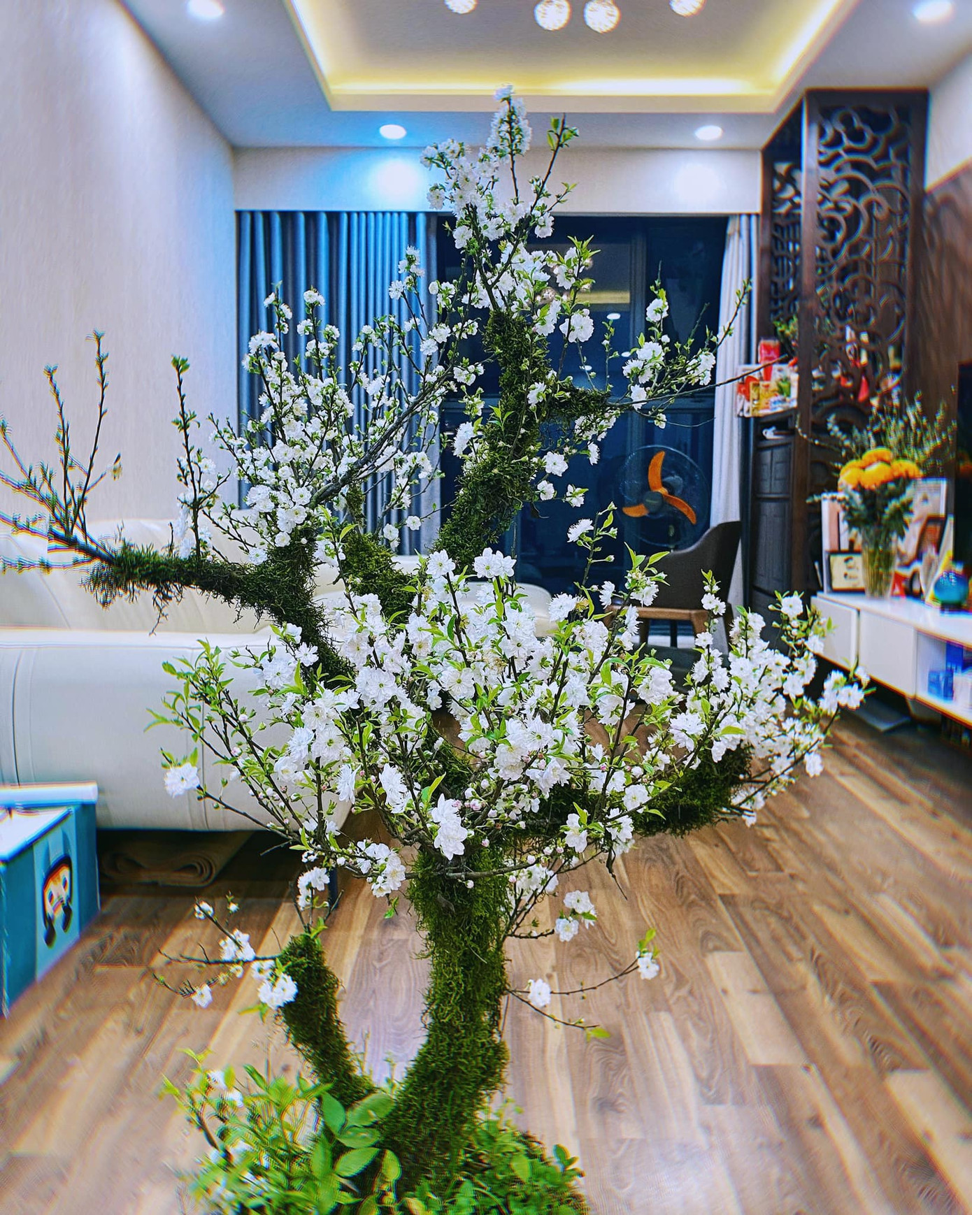 SAO VIỆT 30 TẾT: NSND Công Lý khoe mâm cúng đầy đủ, Như Quỳnh rạng rỡ đón xuân Tân Sửu ảnh 10