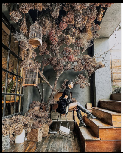 SAO VIỆT MÙNG 5 TẾT: BTV Hoài Anh tâm sự chuyện ngày Tết ảnh 3