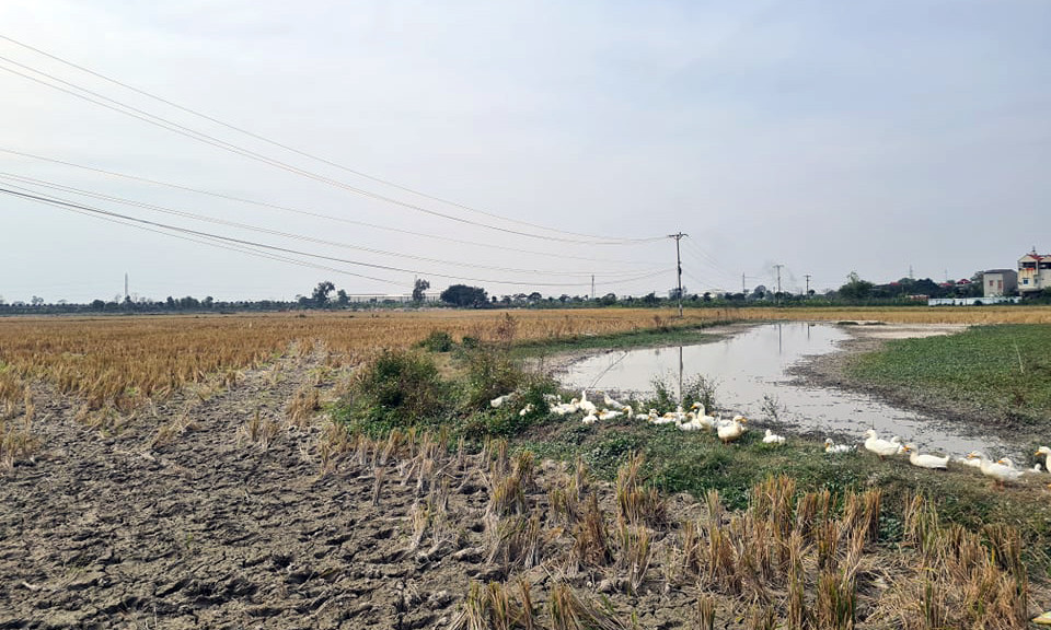 Bắc Ninh yêu cầu kiểm tra dự án vừa trúng đấu giá đã rao bán rầm rộ ảnh 1