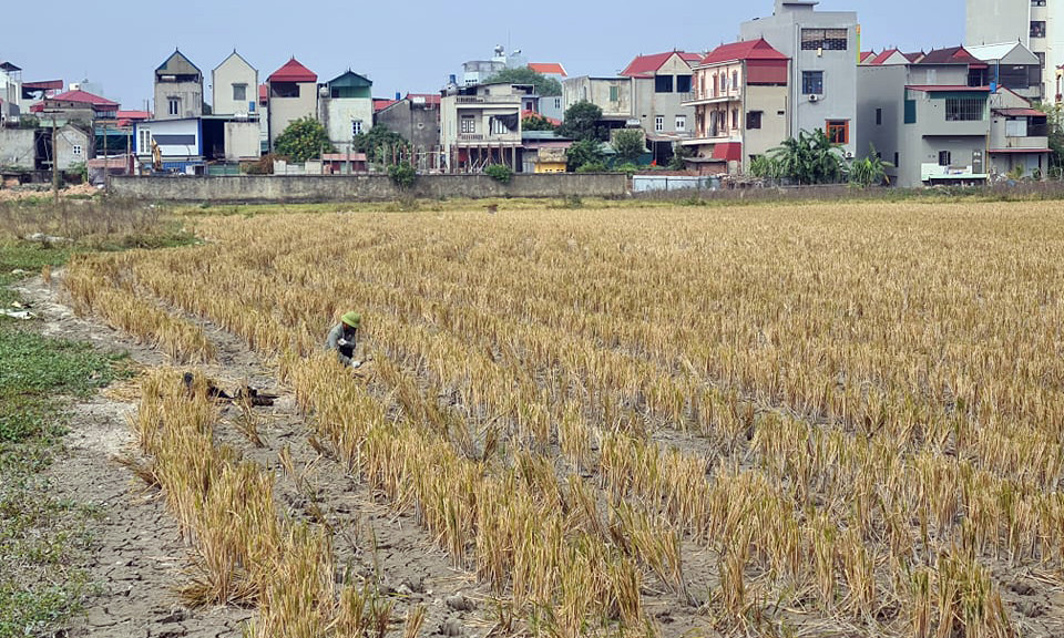 Bắc Ninh yêu cầu kiểm tra dự án vừa trúng đấu giá đã rao bán rầm rộ ảnh 3