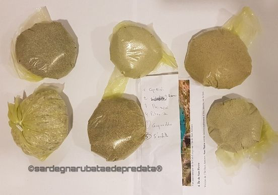 Du khách bị phạt gần 30 triệu đồng vì trộm 2kg cát từ đảo ở Ý ảnh 2