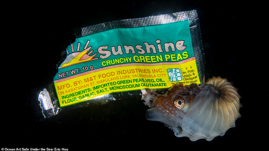 Ảnh về đại dương đẹp sửng sốt ảnh 4