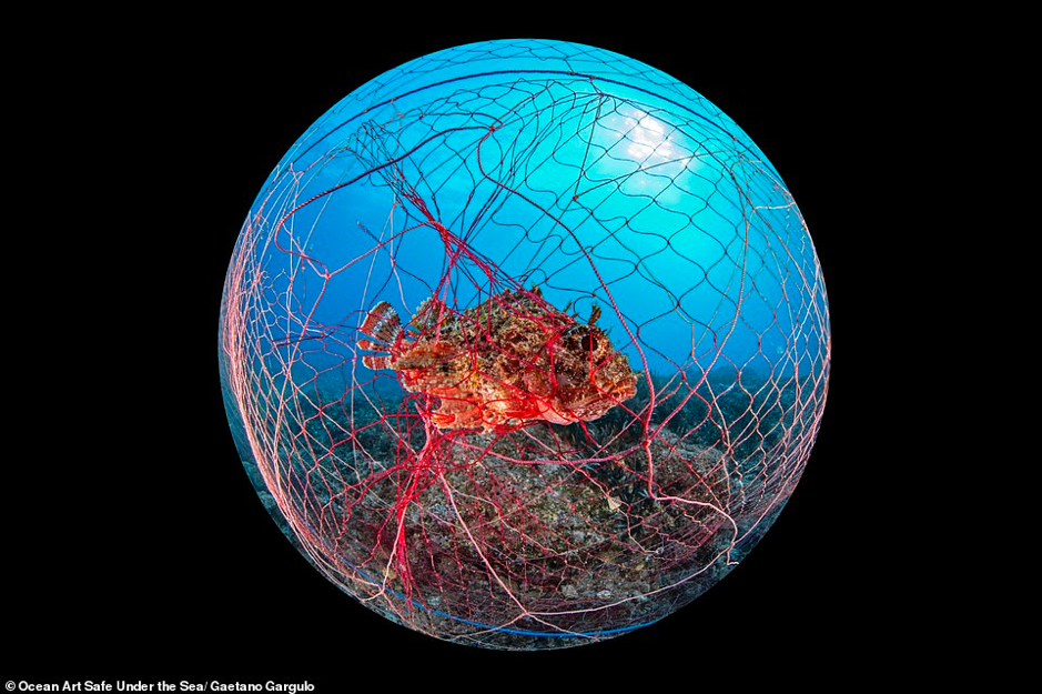 Ảnh về đại dương đẹp sửng sốt ảnh 7