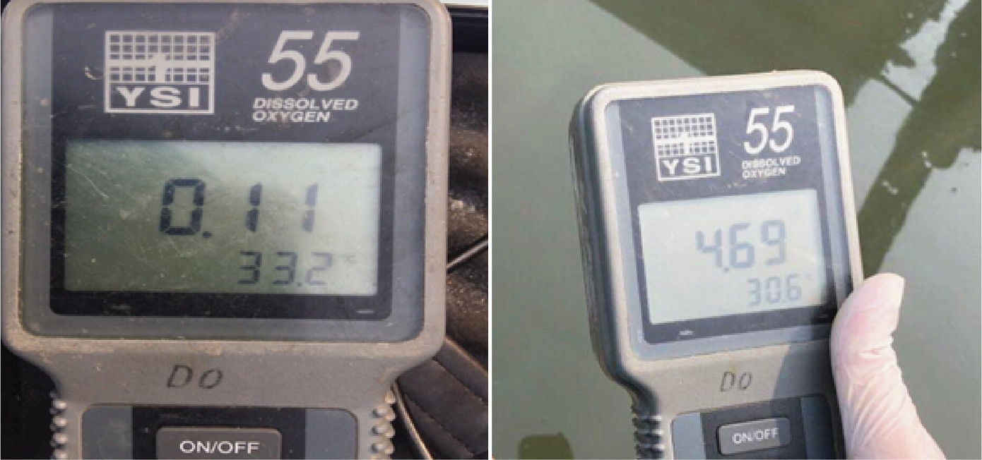 Công bố hiệu quả làm sạch sông Tô Lịch và Hồ Tây bằng 'bảo bối' Nhật ảnh 5