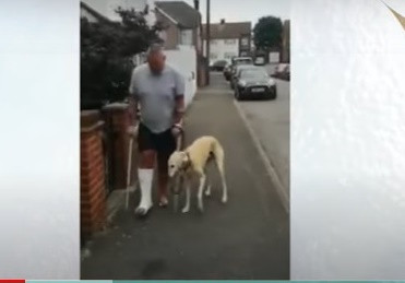 Chi hơn 10 triệu đồng đưa chó đi khám nhưng chuyện đằng sau mới khiến chủ nó “ngỡ ngàng“ ảnh 3