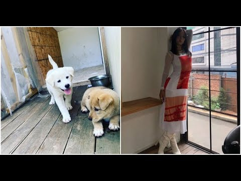 “Startup” dậy sóng MXH, dù chưa phát sóng; dàn sao Hàn quyên góp cứu trợ lũ lụt ảnh 11