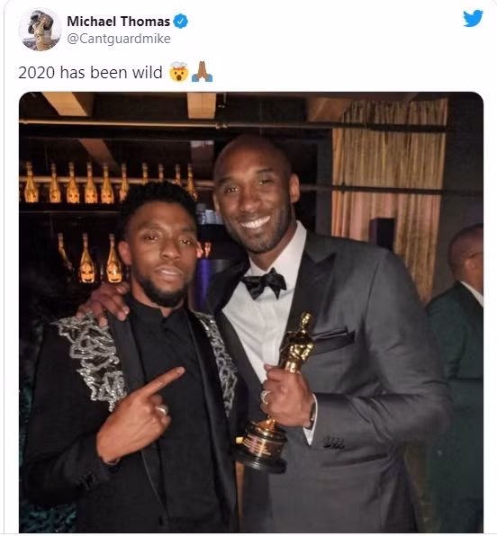 Chadwick Boseman: Lời tưởng nhớ của các diễn viên Marvel sau cái chết “sốc” của “báo đen” ảnh 7