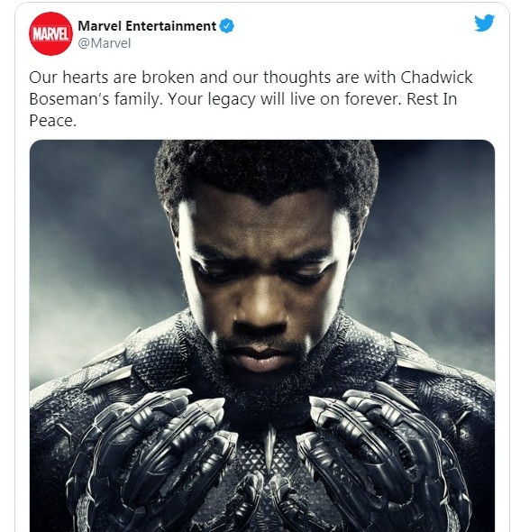 Chadwick Boseman: Lời tưởng nhớ của các diễn viên Marvel sau cái chết “sốc” của “báo đen” ảnh 6