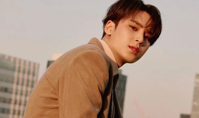 Mingyu (Seventeen) thành “mồi” mới của anti-fan khi liên tiếp bị vạ “bạo lực học đường“ ảnh 4
