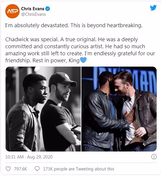 Chadwick Boseman: Lời tưởng nhớ của các diễn viên Marvel sau cái chết “sốc” của “báo đen” ảnh 5