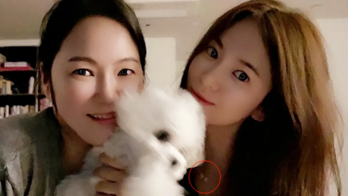 Hàng loạt bằng chứng Song Hye Kyo – Hyun Bin tái hợp ảnh 6