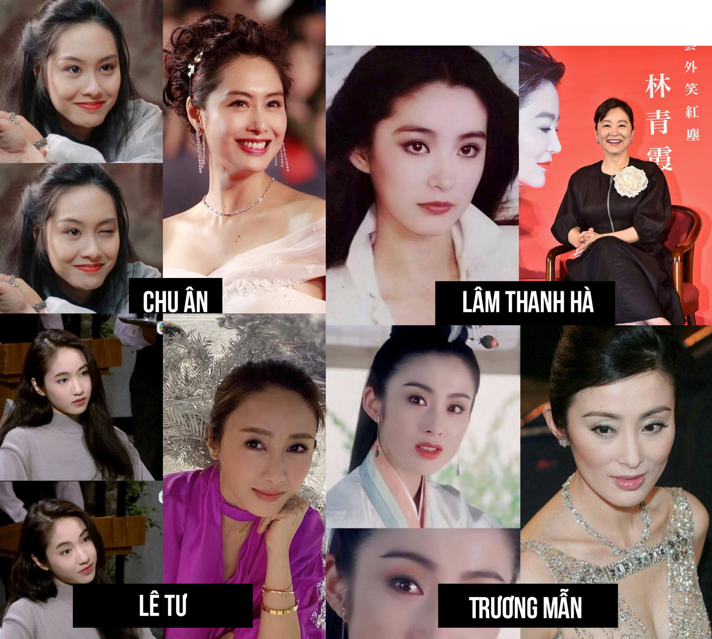 Nhan sắc khuynh thành của dàn mỹ nhân TVB ngày ấy và bây giờ ảnh 3