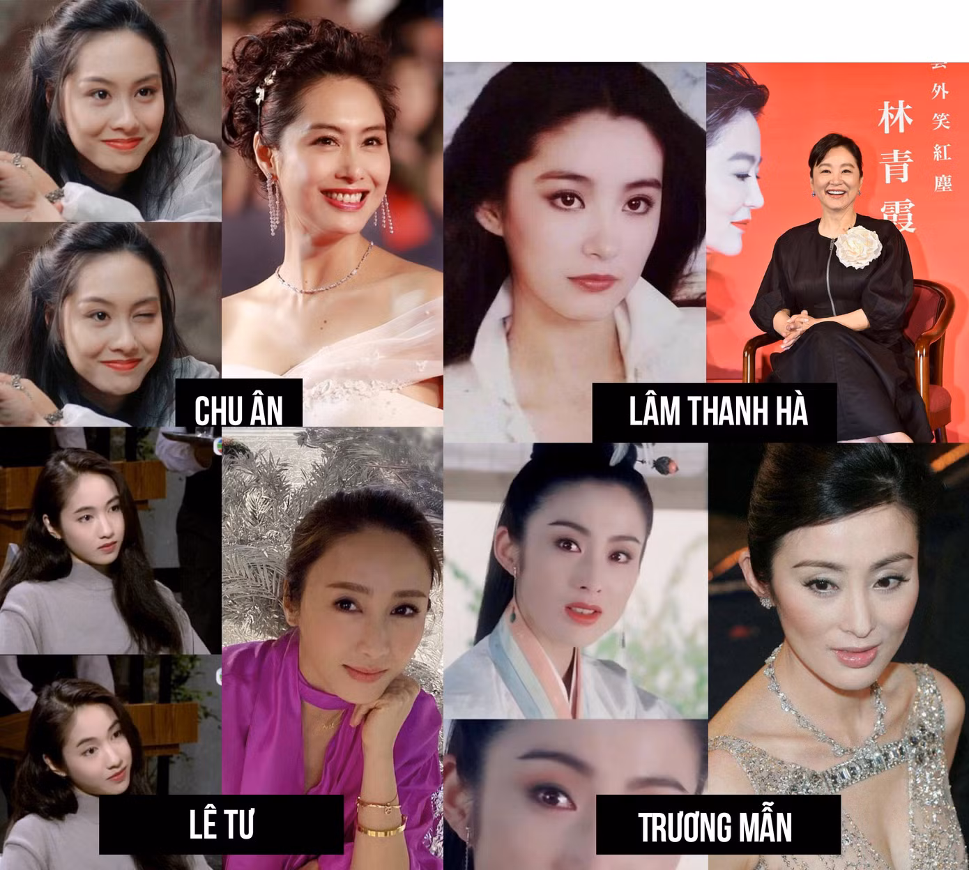 Nhan sắc khuynh thành của dàn mỹ nhân TVB ngày ấy và bây giờ ảnh 3