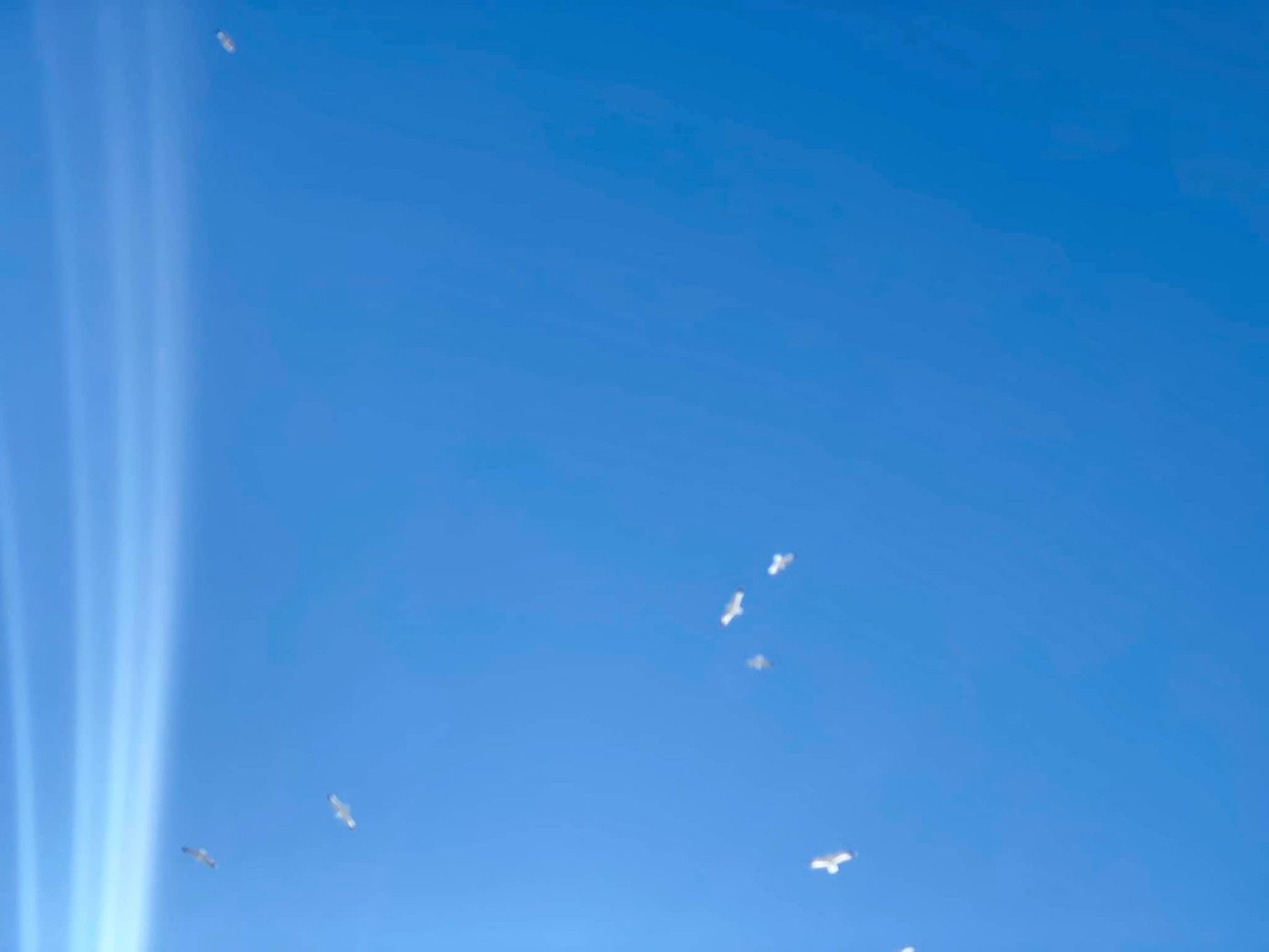 Phương Loan nức nở xoa di ảnh chồng khi bài hát 'Nhỏ ơi' vang lên trong tang lễ ảnh 12