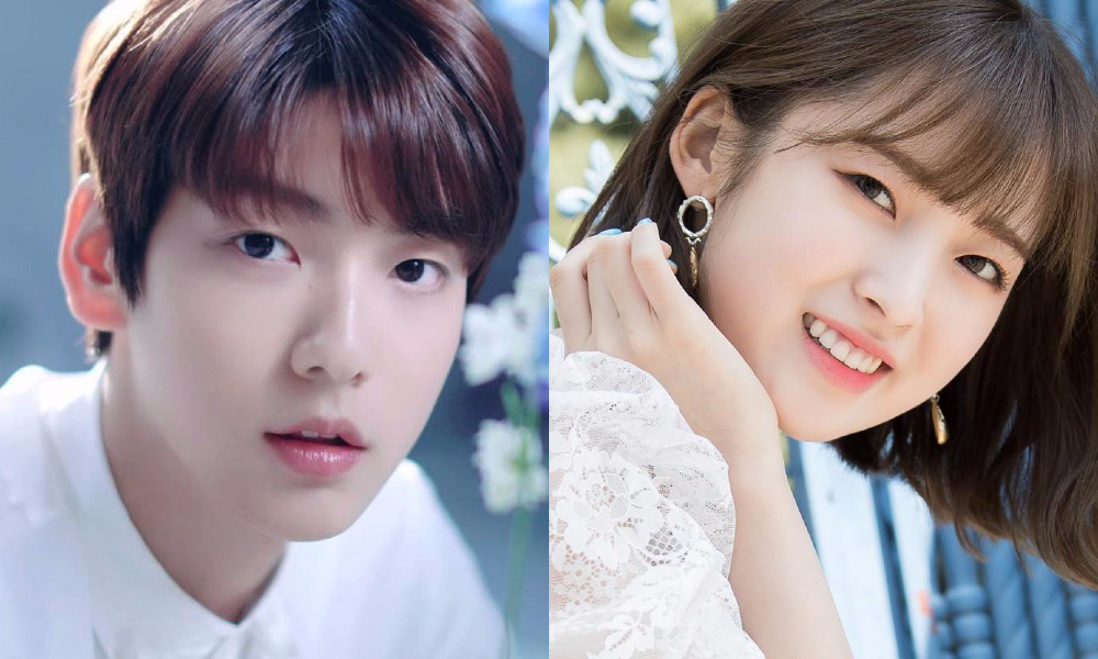 Showbiz châu Á 20/7: Jungkook (BTS) dẫn đầu lượt tìm kiếm Google, Cúc Tịnh Y đẹp như mộng ảnh 7