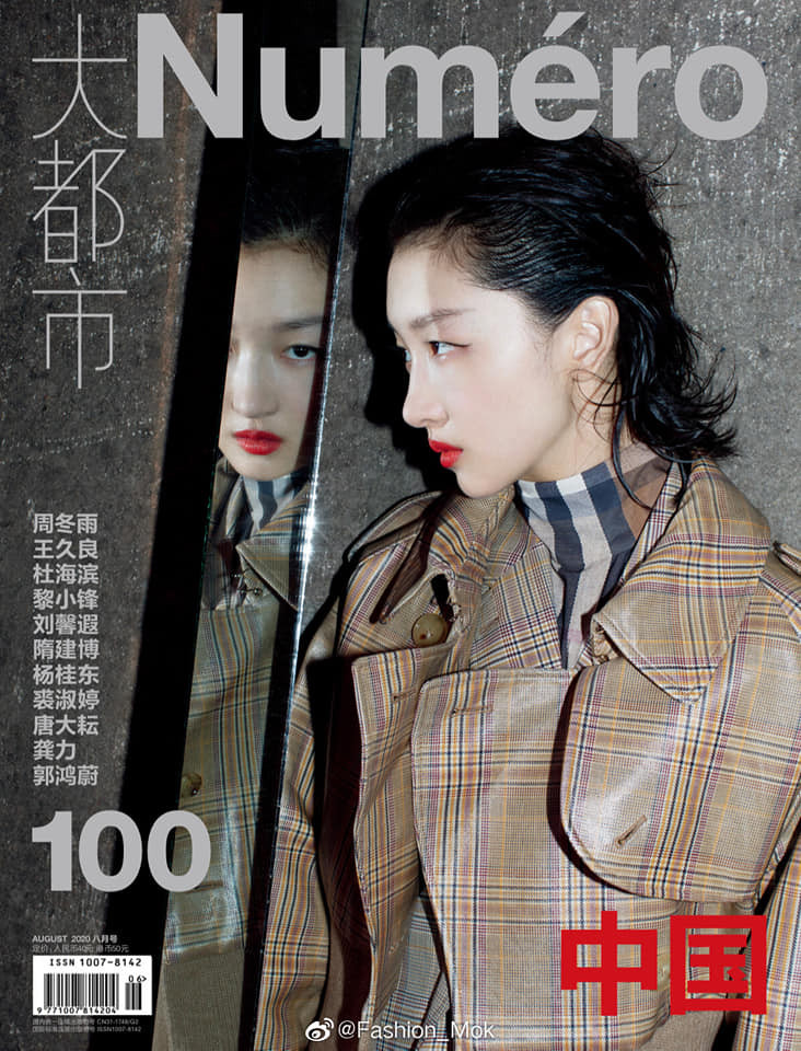 ‘Hòa Thân’ Vương Cương hạnh phúc bên vợ kém 20 tuổi, sinh con ở tuổi 60 ảnh 11