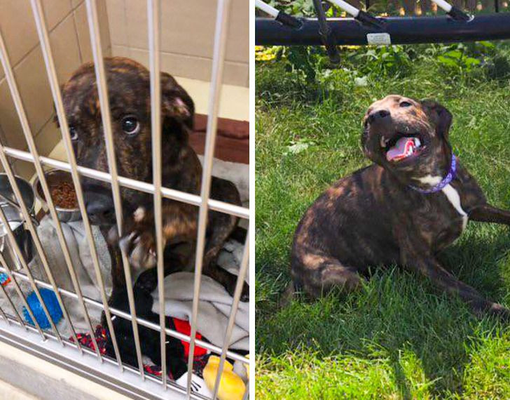 Những bức hình 'ngày này năm xưa' cho thấy sự thay đổi đáng kinh ngạc ảnh 15