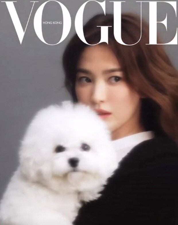 Nhìn lại những hình ảnh ‘bốc lửa’ của 'bom sex' Hồng Kông thập niên 90 Diệp Tử My ảnh 9