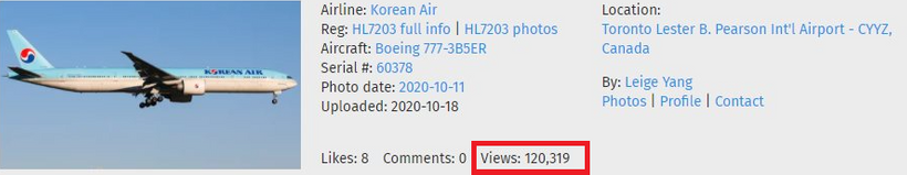 Xúc động khi chuyến bay chở linh cữu Chí Tài sang Mỹ được theo dõi ‘khủng’ ảnh 2
