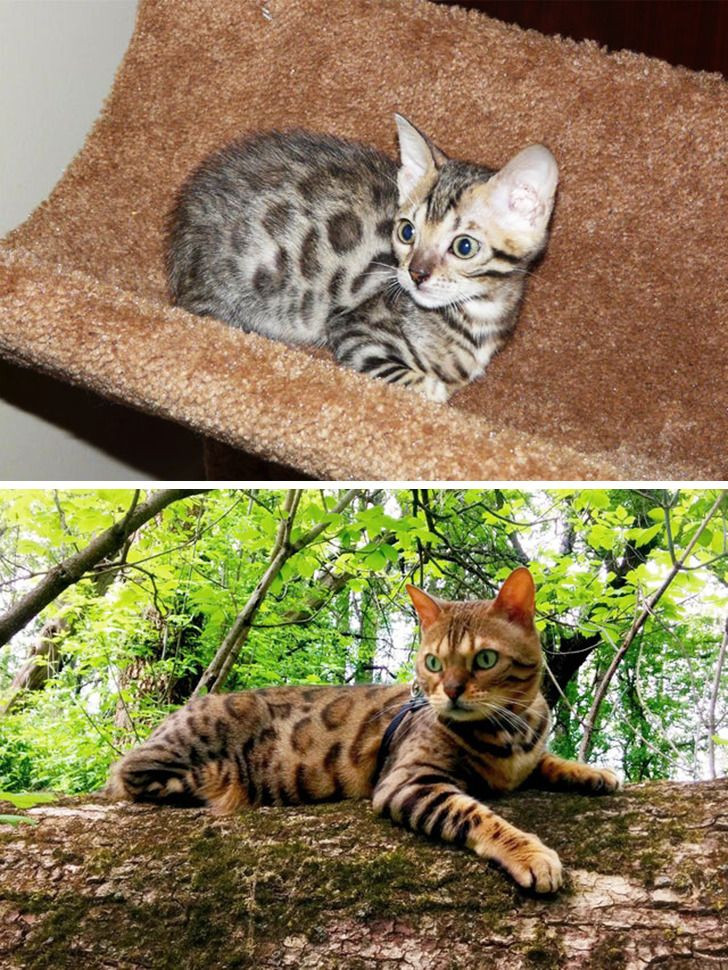 Những bức hình 'ngày này năm xưa' cho thấy sự thay đổi đáng kinh ngạc ảnh 12