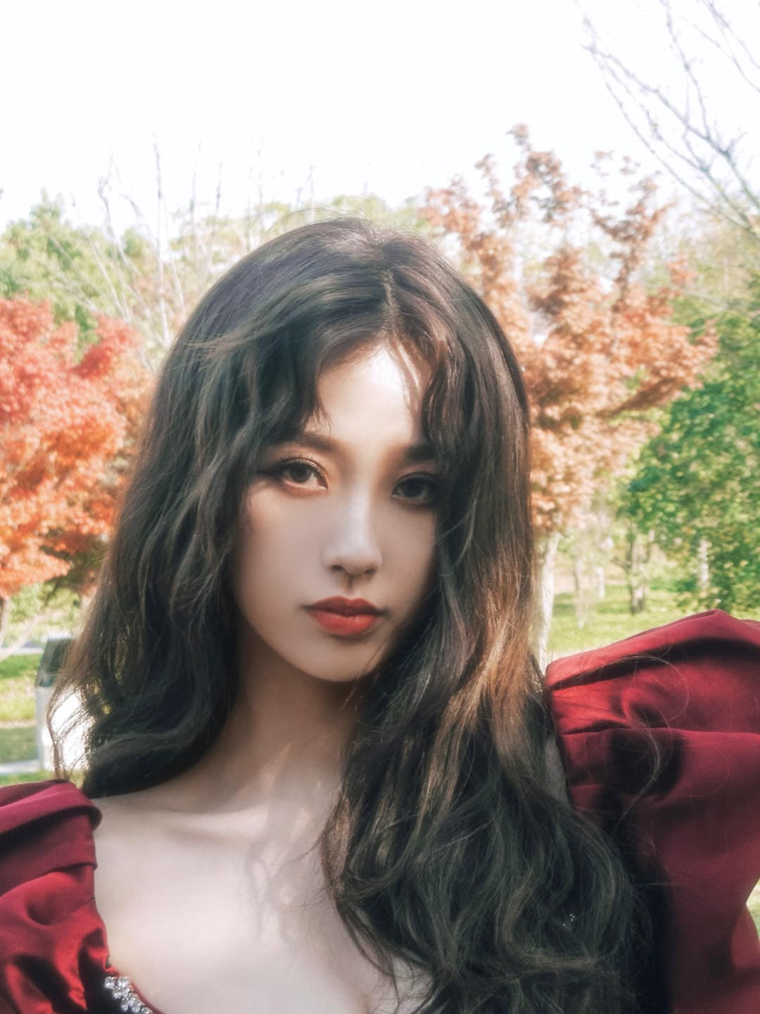 Ảnh hiếm của hai đại mỹ nhân Hồng Kông Lý Nhược Đồng và Vương Tổ Hiền 31 năm trước ảnh 10