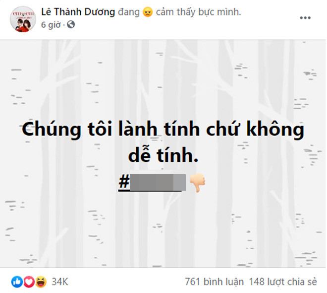 Loạt sao Việt phẫn nộ với gymer xúc phạm vợ cố NS Chí Tài và phản ứng của Hoài Linh ảnh 1