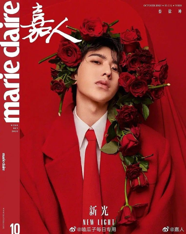 Tiết lộ lý do khiến Chương Tử Di bỏ cơm mấy ngày khi quay cảnh hôn với Lưu Đức Hoa ảnh 4