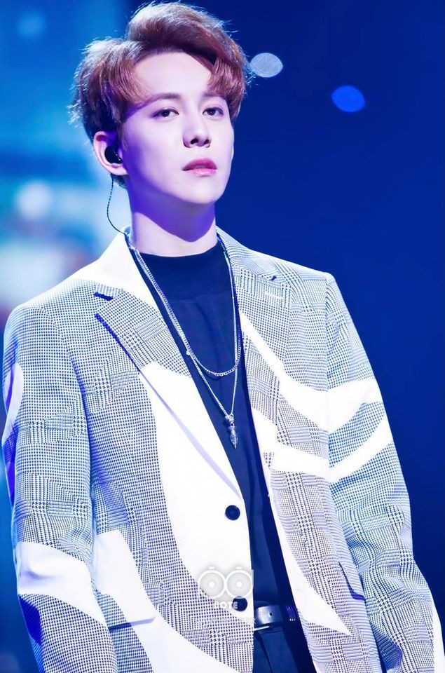 Tiết lộ lý do khiến Chương Tử Di bỏ cơm mấy ngày khi quay cảnh hôn với Lưu Đức Hoa ảnh 12