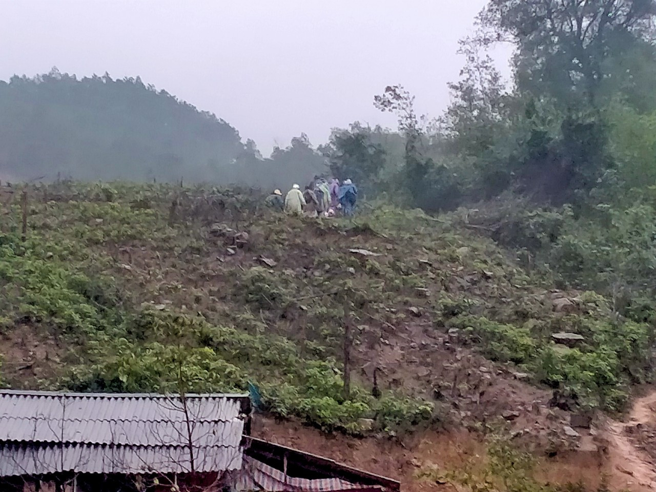 Gần 150 người đội mưa rét tìm cụ ông mất tích trong rừng ảnh 7