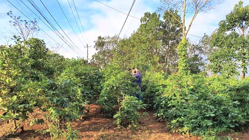 Hai người đàn ông hỗn chiến vì 100.000 đồng khiến người chết, kẻ bị thương ảnh 1