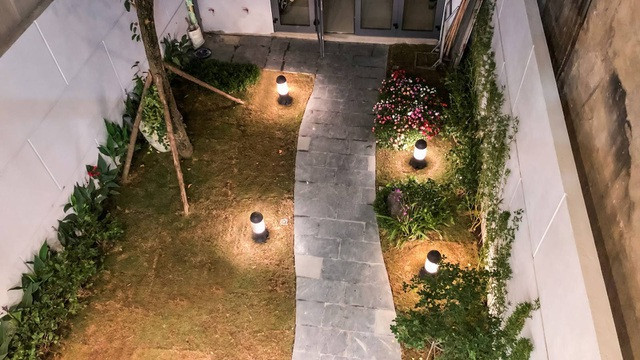 Gia đình ở Hà Nội trồng cả vườn cây xanh đẹp hiếm có trong căn nhà phố ảnh 5