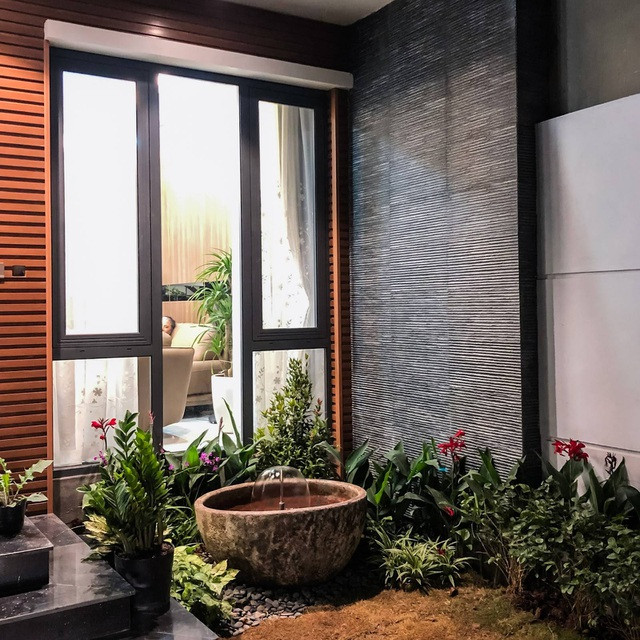 Gia đình ở Hà Nội trồng cả vườn cây xanh đẹp hiếm có trong căn nhà phố ảnh 6