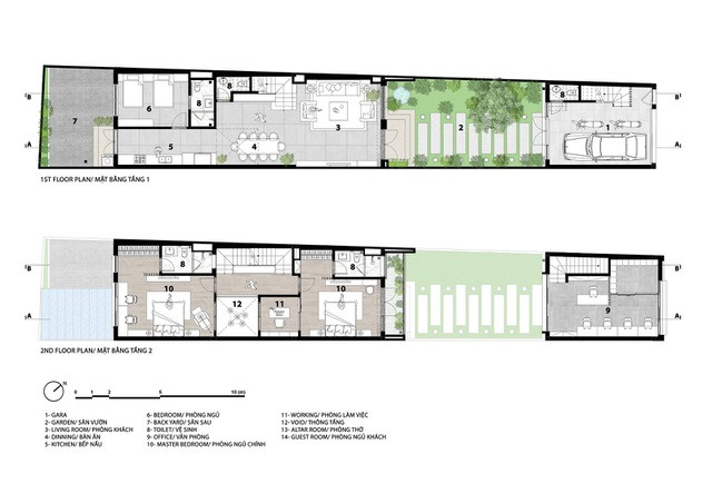 Gia đình ở Hà Nội trồng cả vườn cây xanh đẹp hiếm có trong căn nhà phố ảnh 2