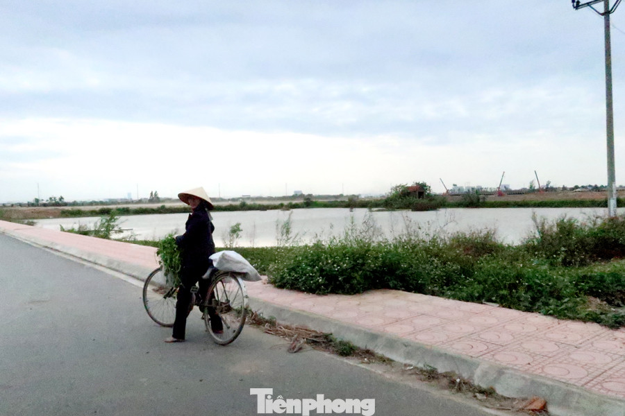 10 lao động làm việc trên công trường Nhà máy nước mặt sông Hồng ảnh 5