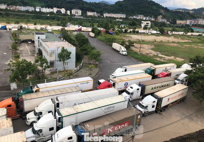 Cách ly dịch Covid-19, lái xe tố bị thu tiền triệu phí trông xe ảnh 2