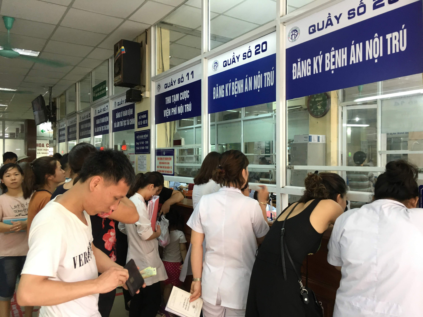 Lợn bị cấm ăn bèo, nuôi trùn quế bị phạt 50 triệu: Ai 'đẻ' quy định gây khó dân? ảnh 1