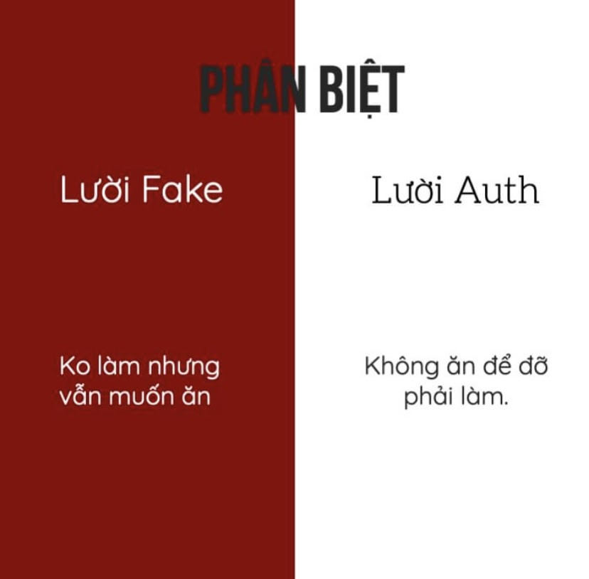 Từ điển “lười fake”, “lười auth” - Đến hội lười cũng... gạt lười mà “thả tim” ầm ầm ảnh 3