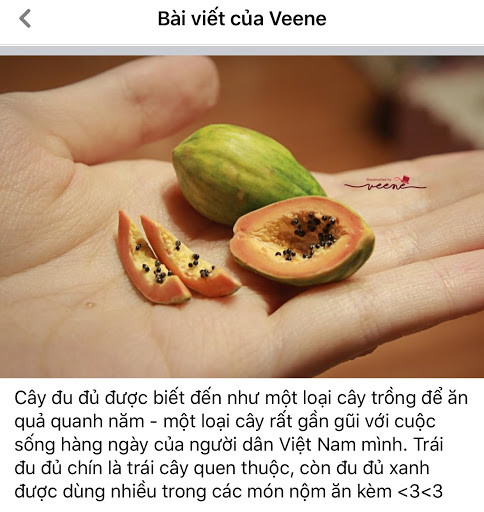 Tan chảy với loạt ảnh đồ vật tí hon khiến bạn chỉ muốn thu nhỏ ngay lập tức ảnh 9