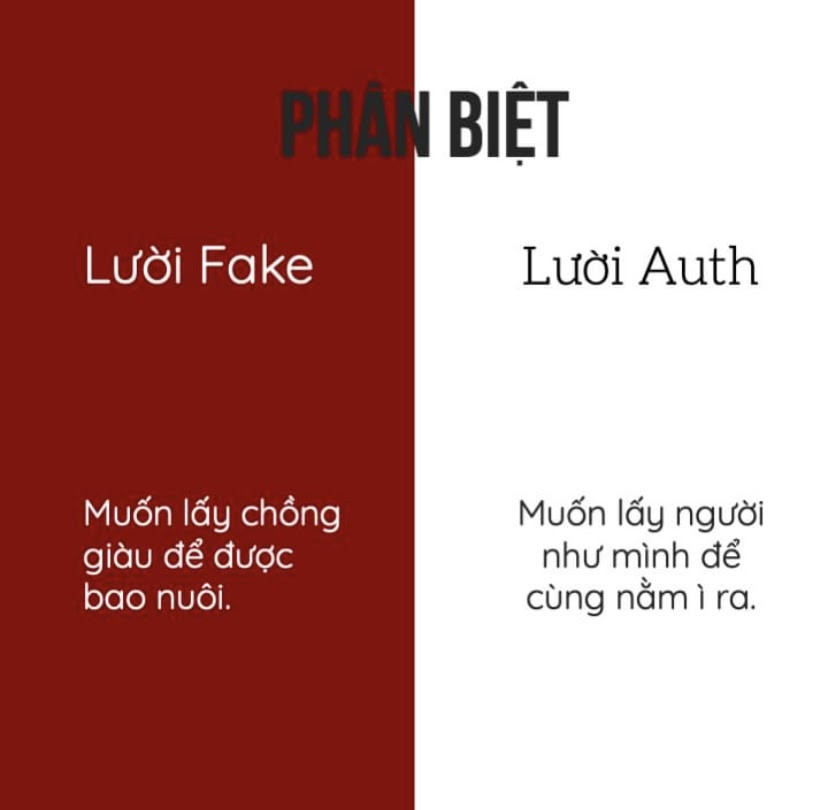 Từ điển “lười fake”, “lười auth” - Đến hội lười cũng... gạt lười mà “thả tim” ầm ầm ảnh 4