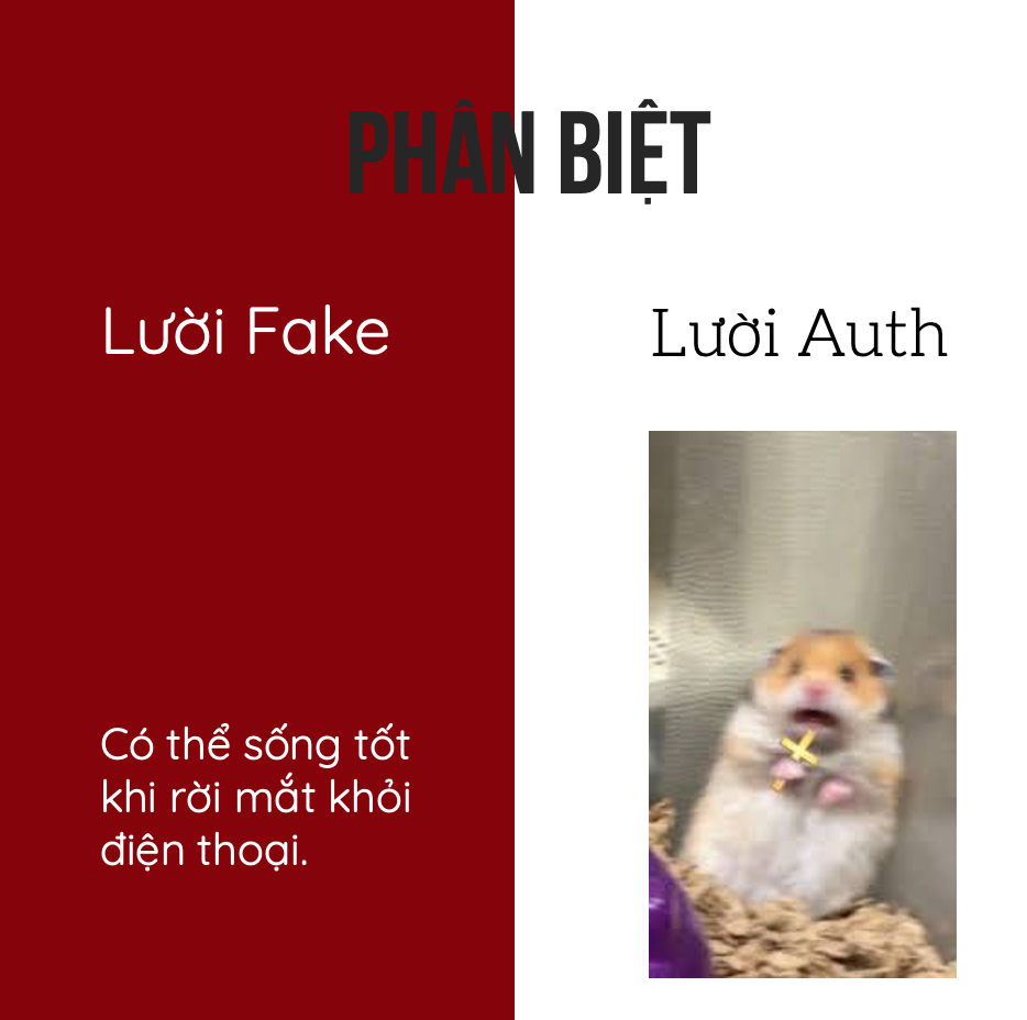 Từ điển “lười fake”, “lười auth” - Đến hội lười cũng... gạt lười mà “thả tim” ầm ầm ảnh 7