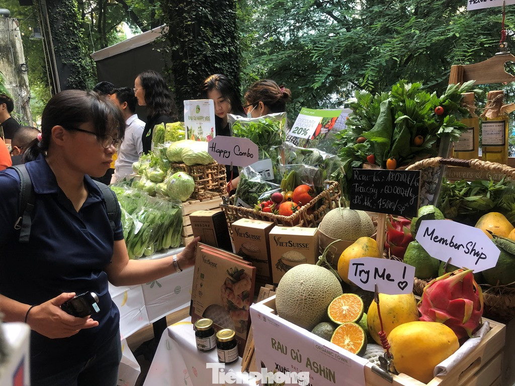 TPHCM: Dân nội trợ ‘tranh nhau’ mua heo rừng hữu cơ gần 400.000 đồng/kg ảnh 3