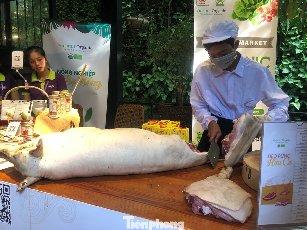 TPHCM: Dân nội trợ ‘tranh nhau’ mua heo rừng hữu cơ gần 400.000 đồng/kg ảnh 1